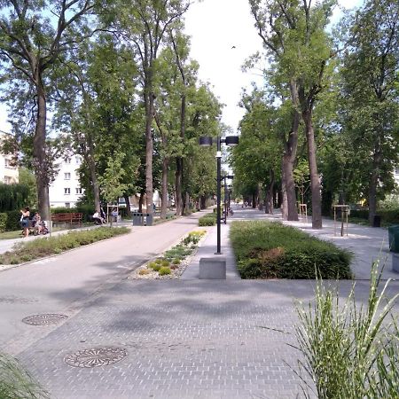 Apartament Zdroj Буско-Здруй Экстерьер фото
