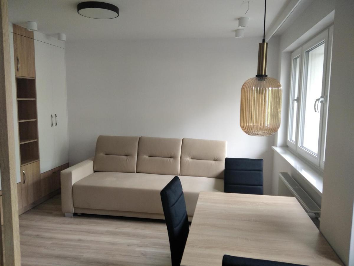 Apartament Zdroj Буско-Здруй Экстерьер фото